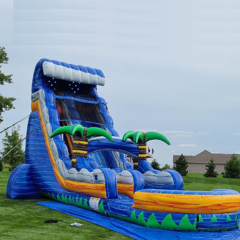 Inflatable water slide customi - Water Slide Inflatable 评论和价格
