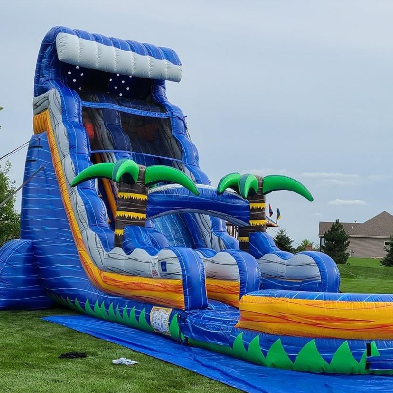 Inflatable water slide customi - Water Slide Inflatable 评论和价格