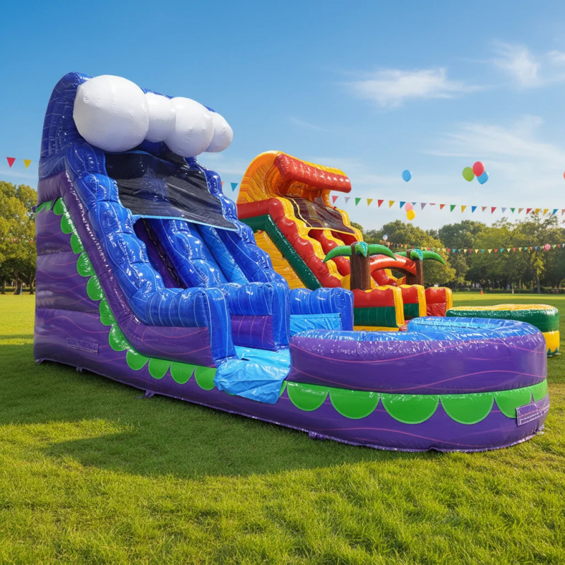 Commercial Backyard Slide Rent - Water Slide Inflatable 评论和价格