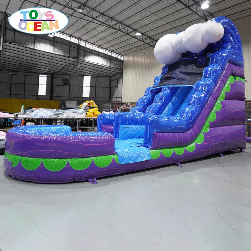 Commercial Backyard Slide Rent - Water Slide Inflatable 评论和价格
