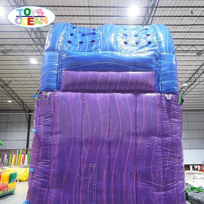 Commercial Backyard Slide Rent - Water Slide Inflatable 评论和价格